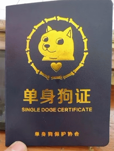 示例图片